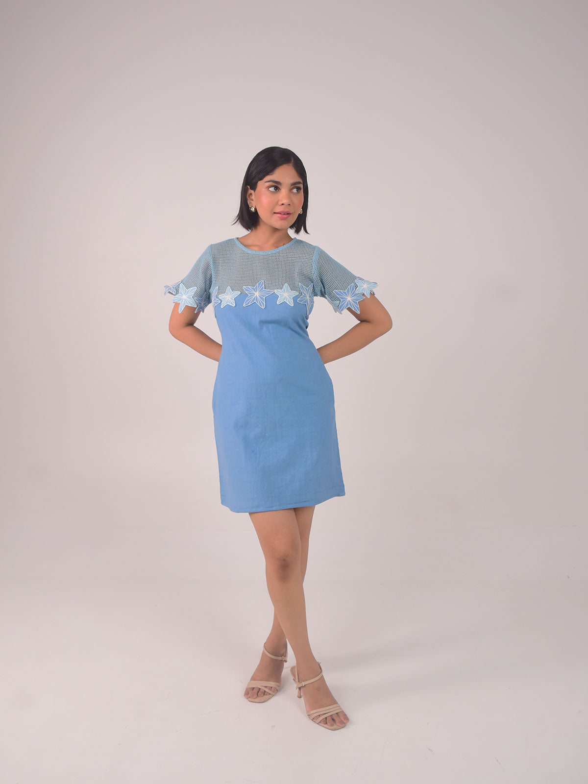 Demi Embroidered Applique Dress