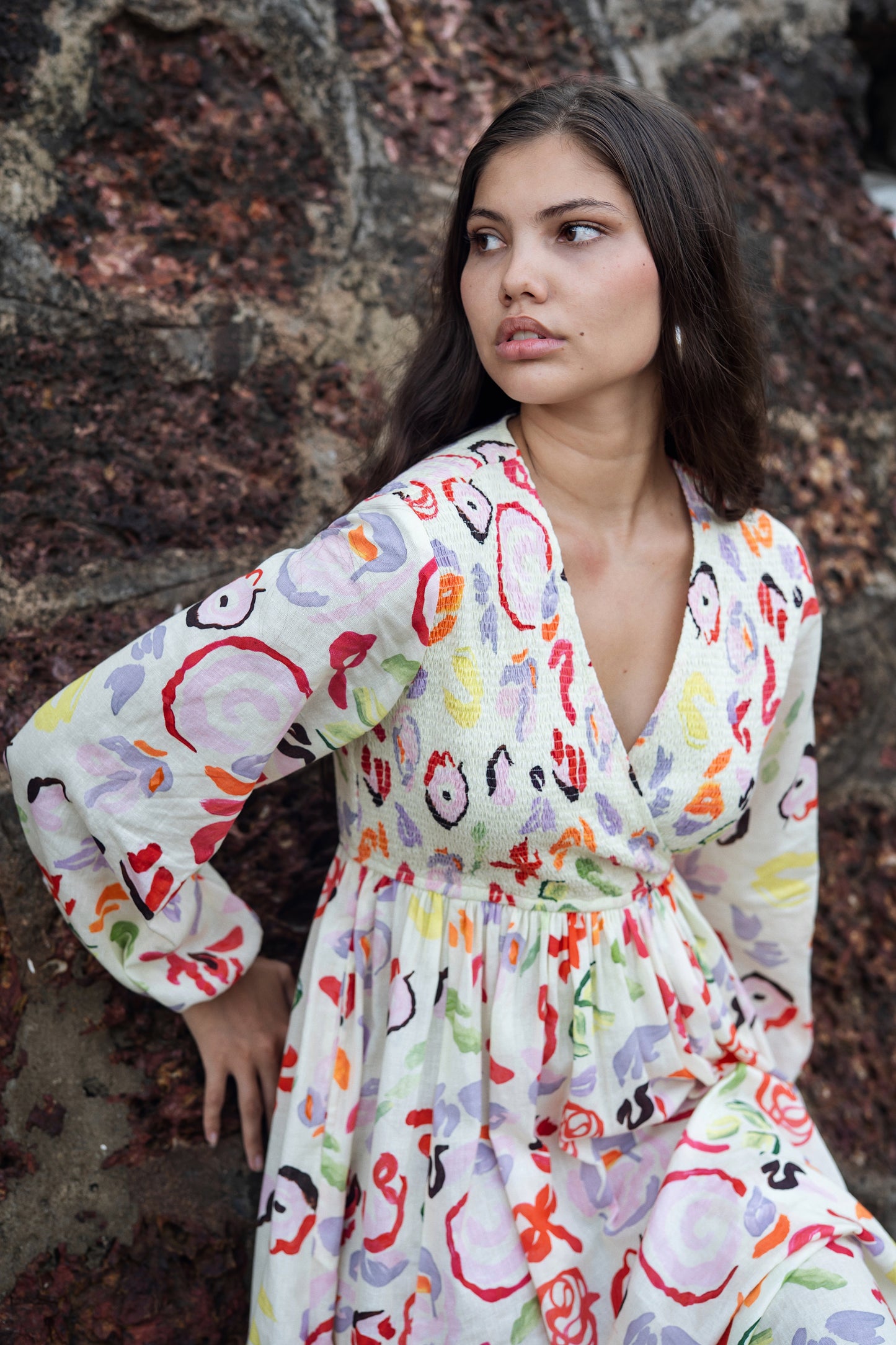 Roosh Dress (Multi Colour)