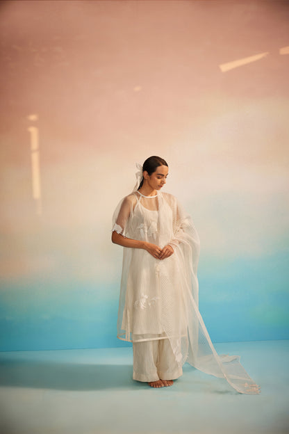 Yuugen Organza Kurta Set of 3