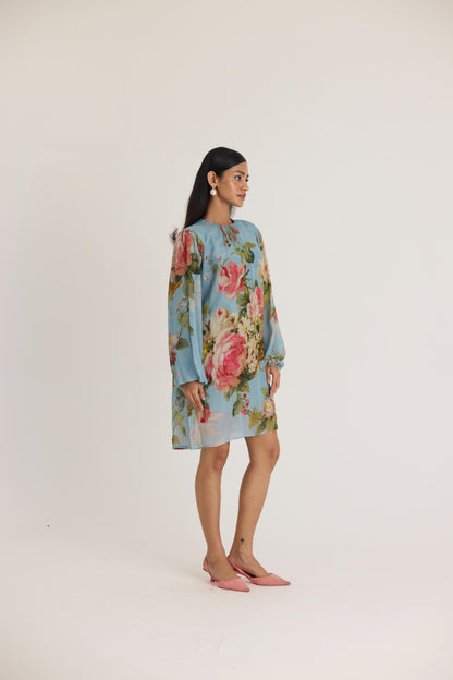 Taffy Embroidered Short Dress