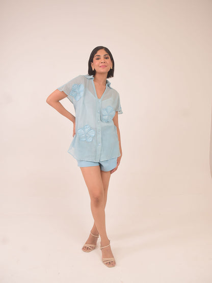 Aster Applique Cotton Net Set