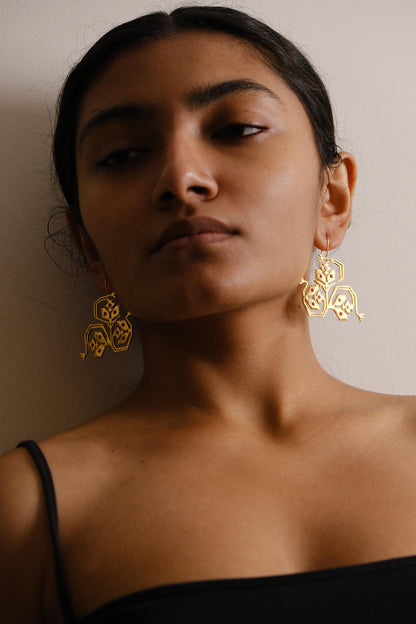Toradar Earrings