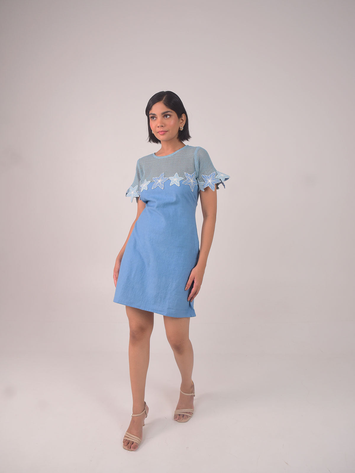 Demi Embroidered Applique Dress